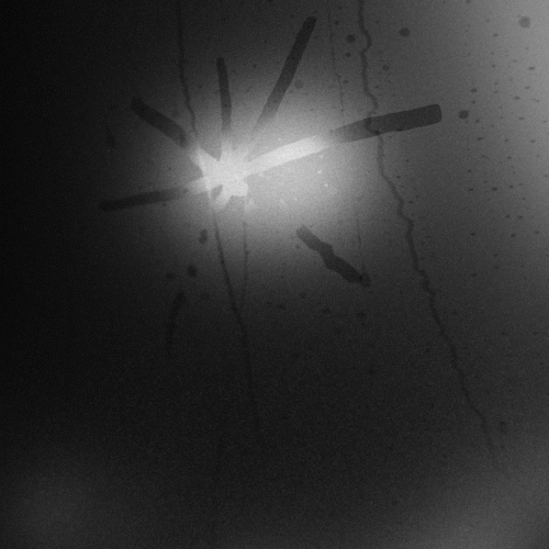 Touché Amoré : Spiral in a Straight Line Touché Amoré : Spiral in a Straight Line